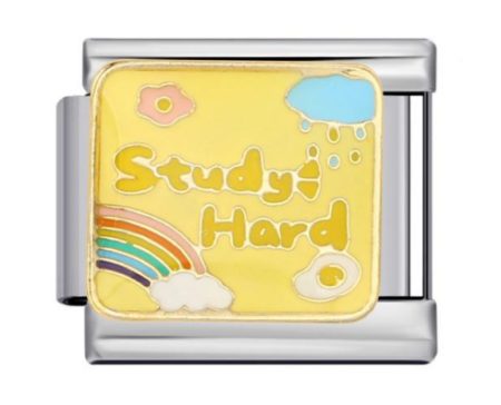 تشارم فضي Study Hard